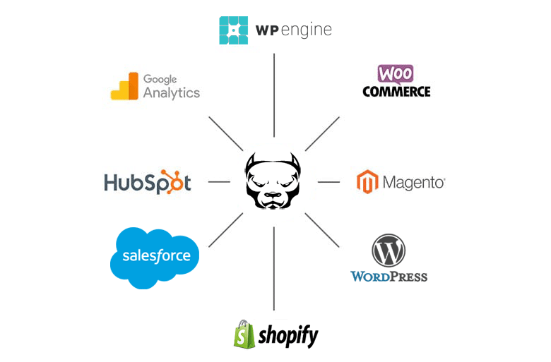 Web-Dev-4
